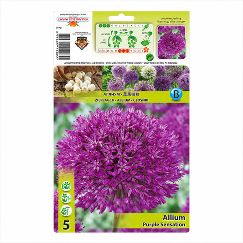HBM-A06 震撼 Purple Sensation (5顆/包)示意圖