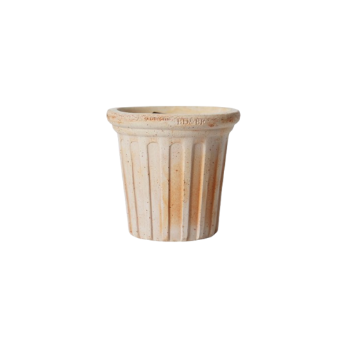 RC-18 多立克示意圖