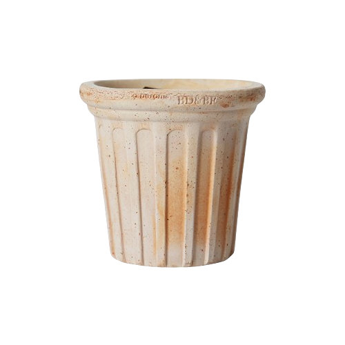 RC-23 多立克示意圖