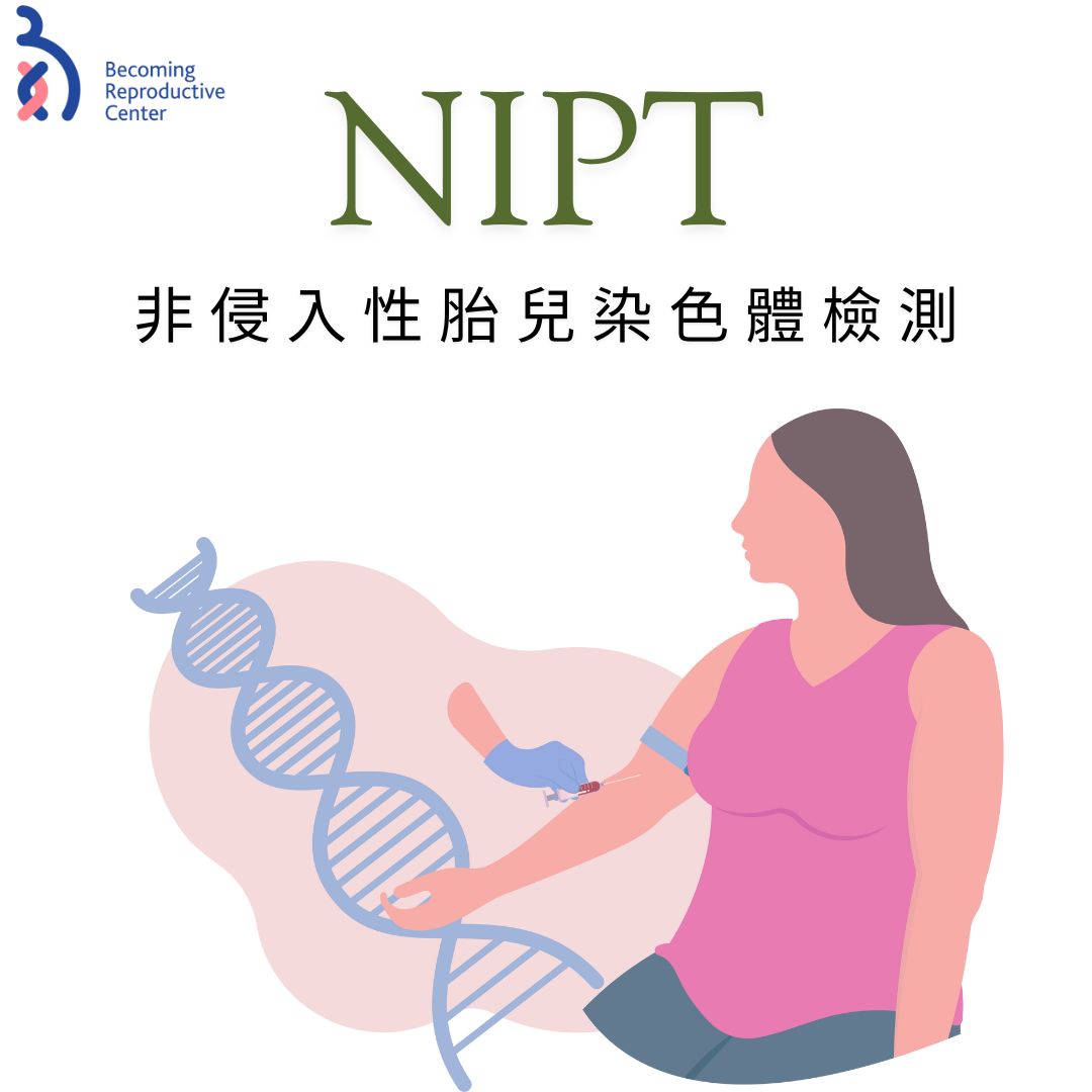 甚麼是NIPT?與羊膜穿刺哪個比較好?