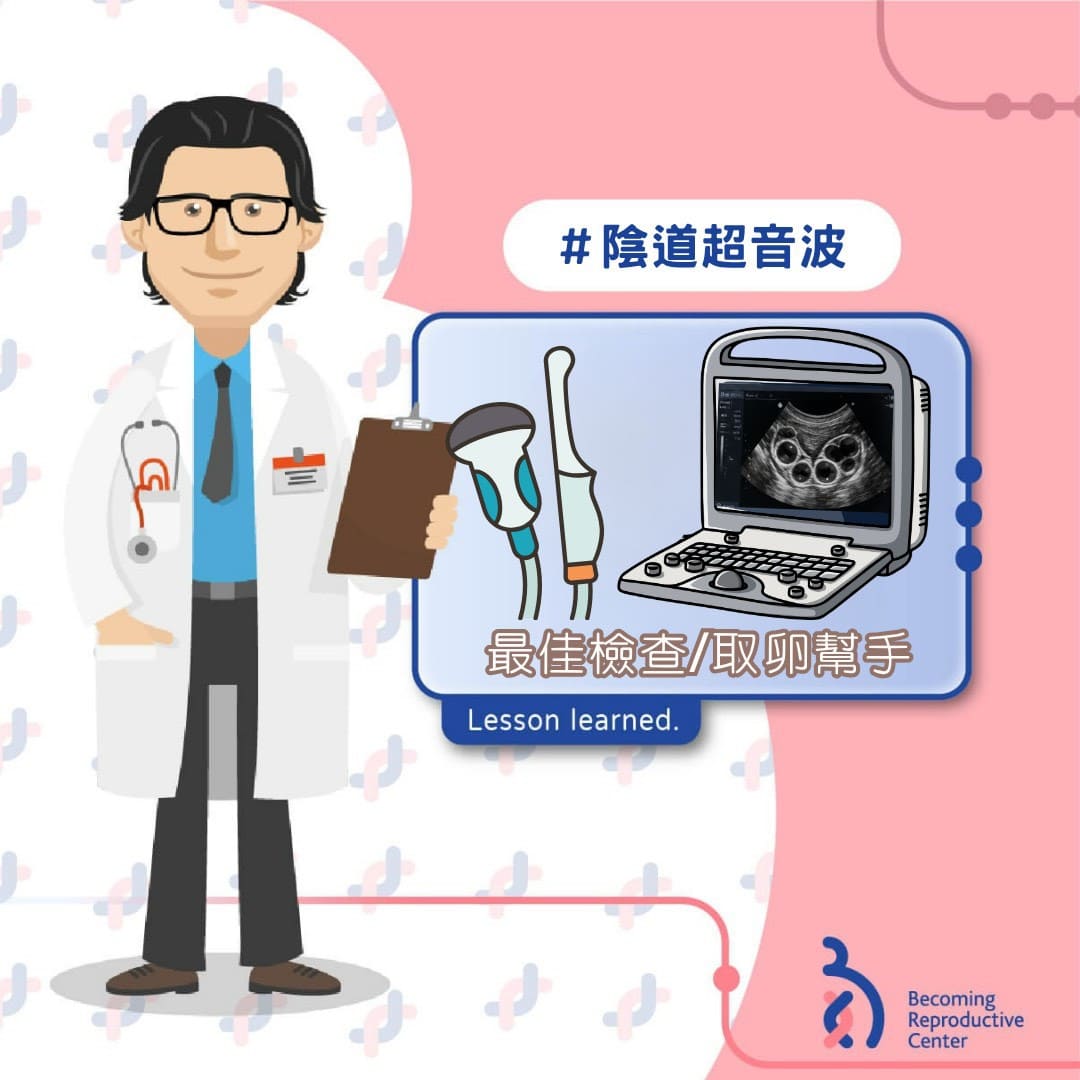 凍卵與試管療程中陰道超音波的必要性與臨床考量