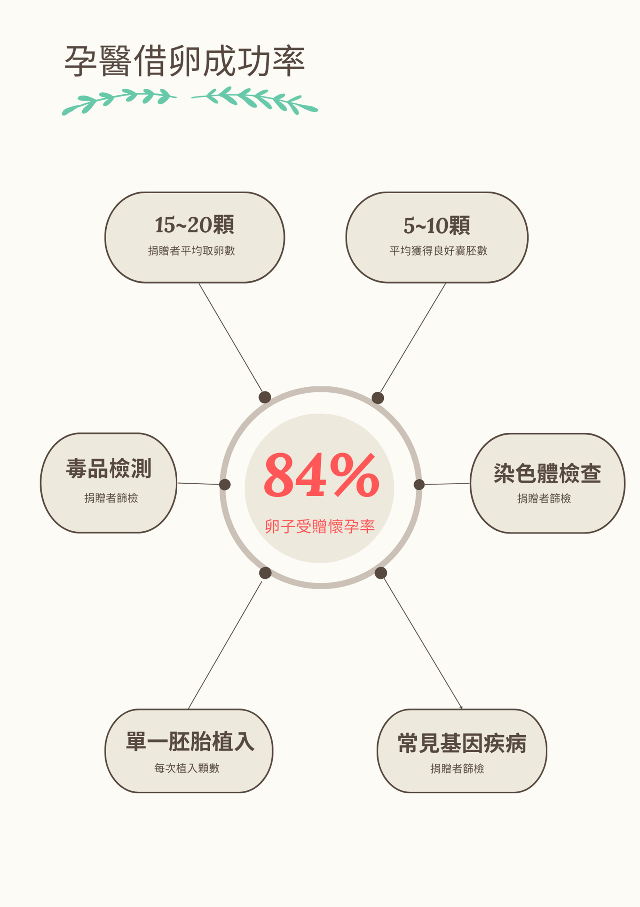 借卵成功率