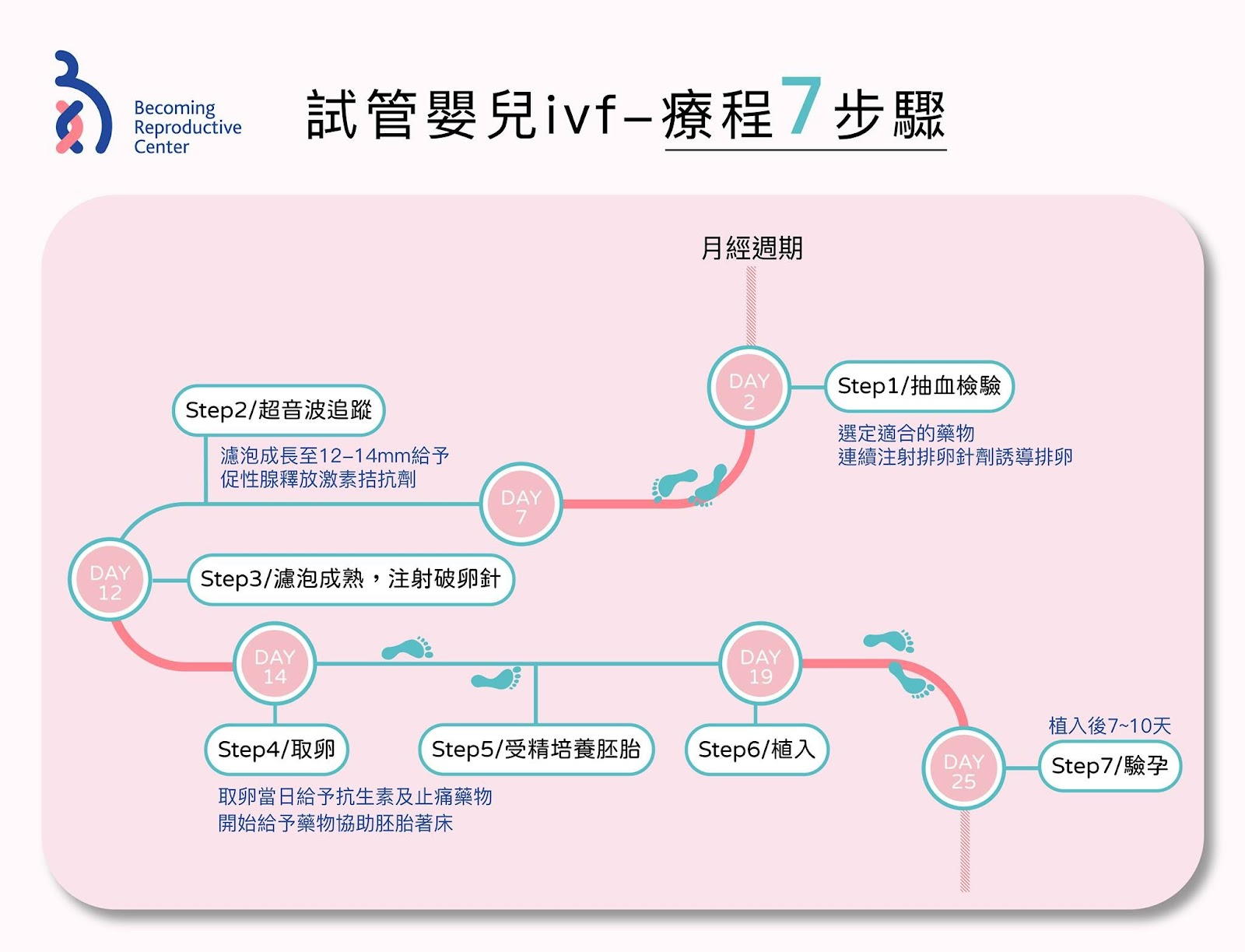 試管嬰兒療程七步驟