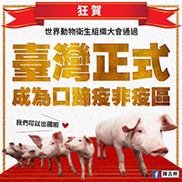 台灣等了24年　OIE宣告台灣徹底脫離豬隻口蹄疫疫區