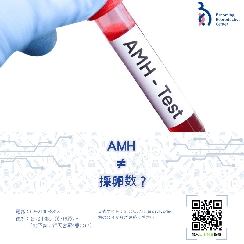 AMHの値と採卵数について