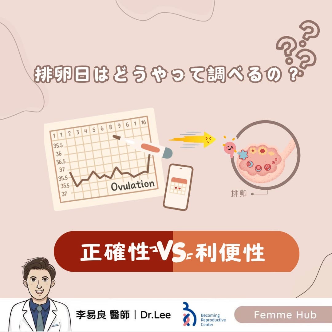 排卵はどう測る？正確性 vs 利便性⚖️