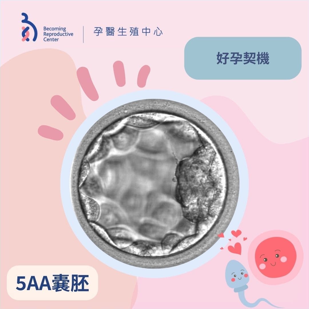 閉塞性無精子症でも諦めない