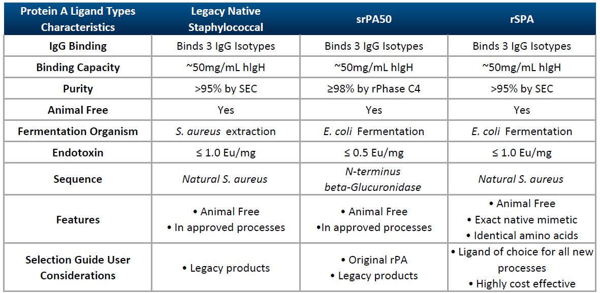 rSPA – Native Recombinant Staphylococcal Protein A Ligand