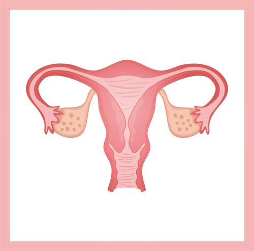 排卵針刺激會導致卵巢早衰?示意圖