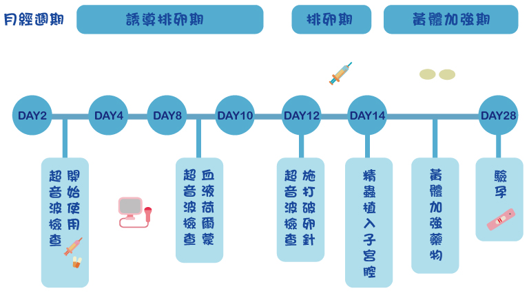 人工受孕療程