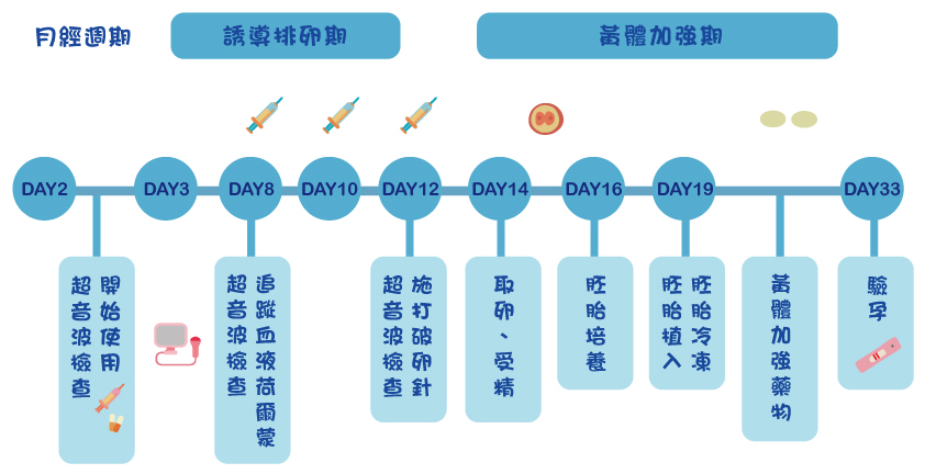 試管嬰兒療程
