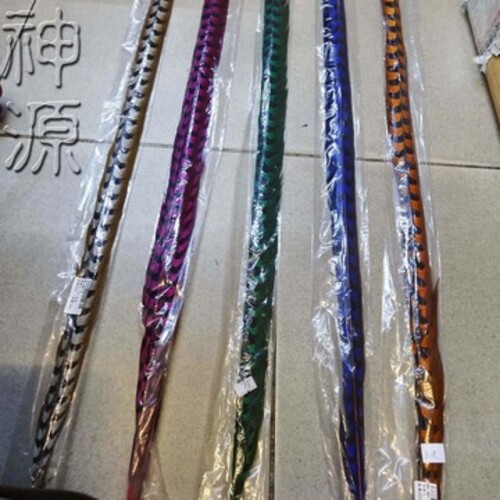 雉雞毛.1尺<30公分>綠示意圖