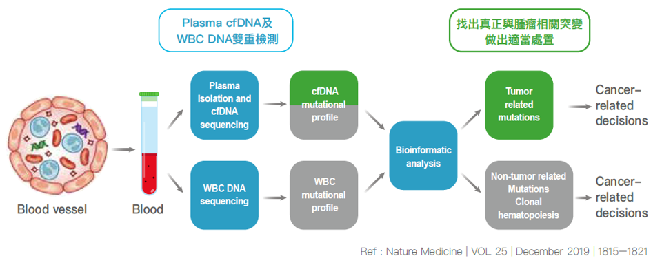 癌液準-循環腫瘤DNA檢測