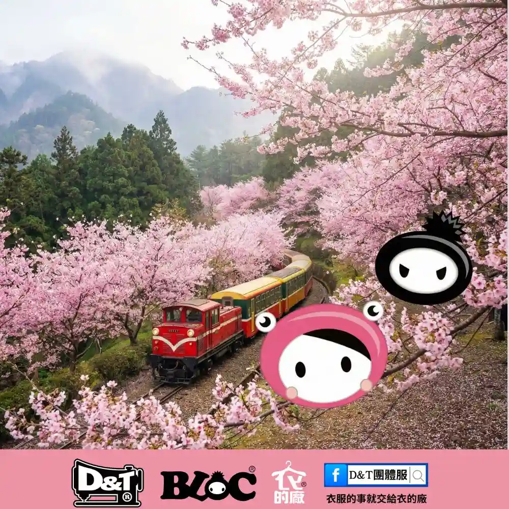 2026國際賞花熱點：阿里山櫻花季旅遊指南｜春季賞櫻與森林鐵路風景