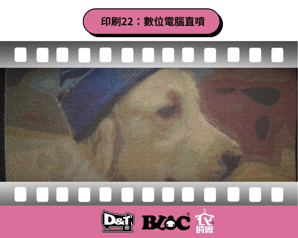 DNT數位電腦直噴，小狗特寫人像圖