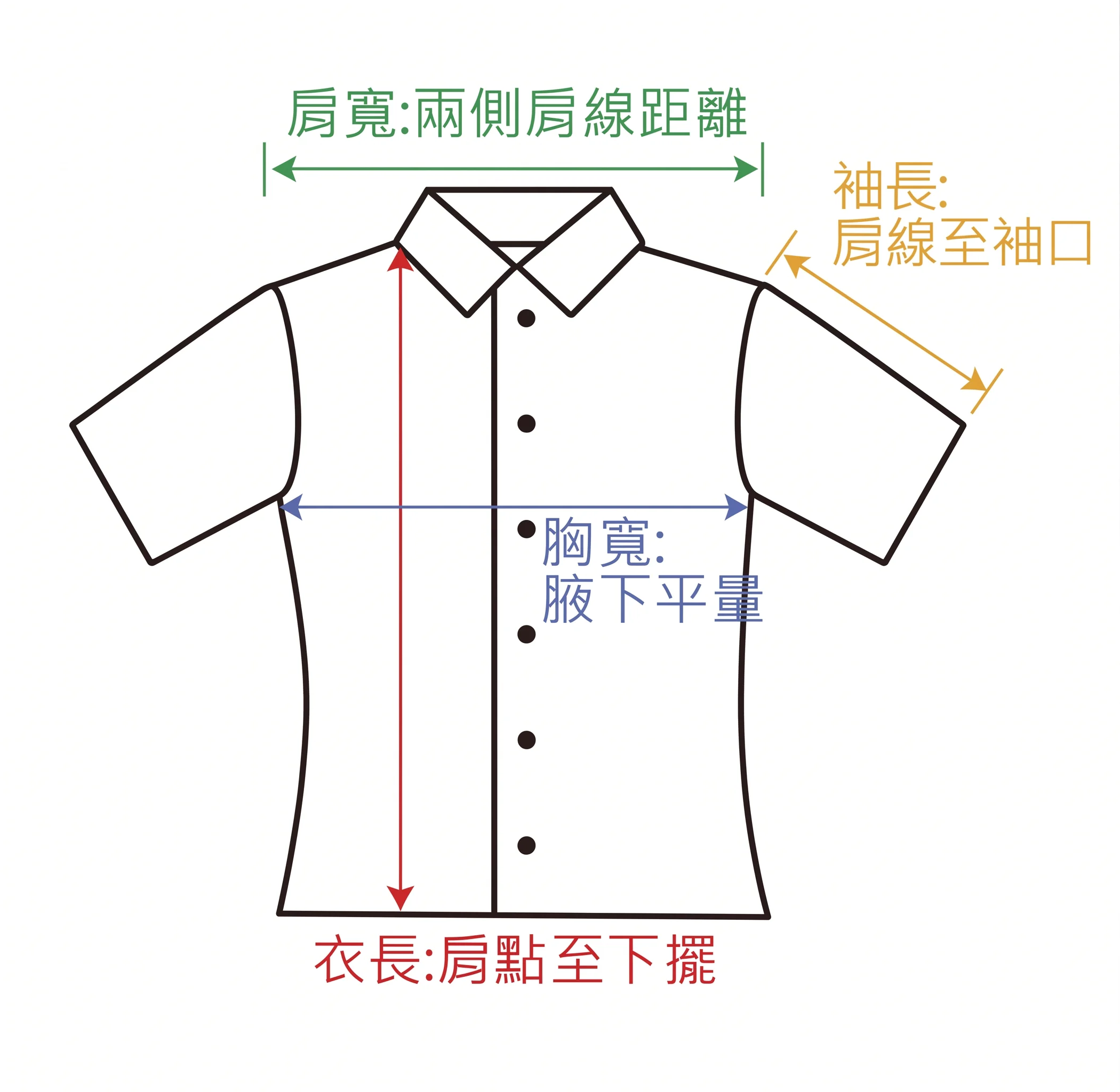 D&T百格襯衫女版量測示意圖 肩寬胸寬衣長袖長測量方式說明
