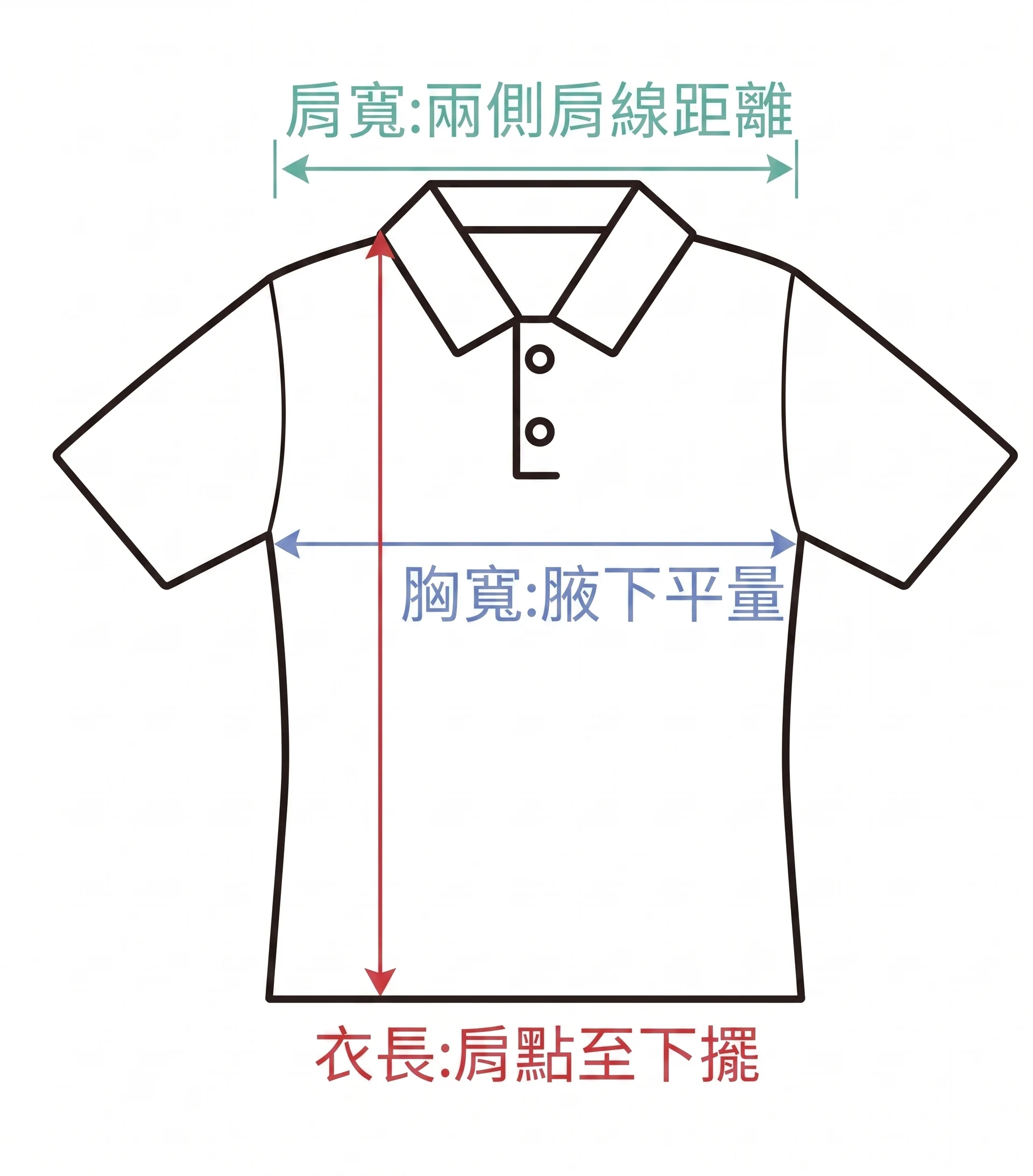 D&T女版POLO衫量測示意圖 肩寬胸寬衣長測量方式說明