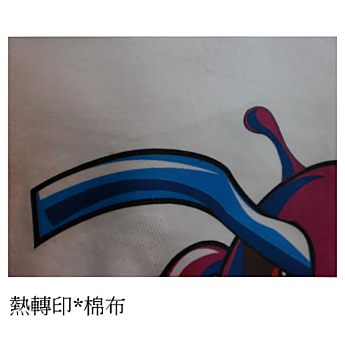 棉料熱轉印 團體服印刷範例 D&T衣的廠