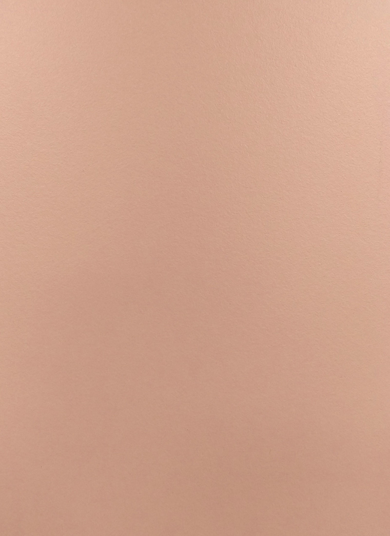 杏花紅