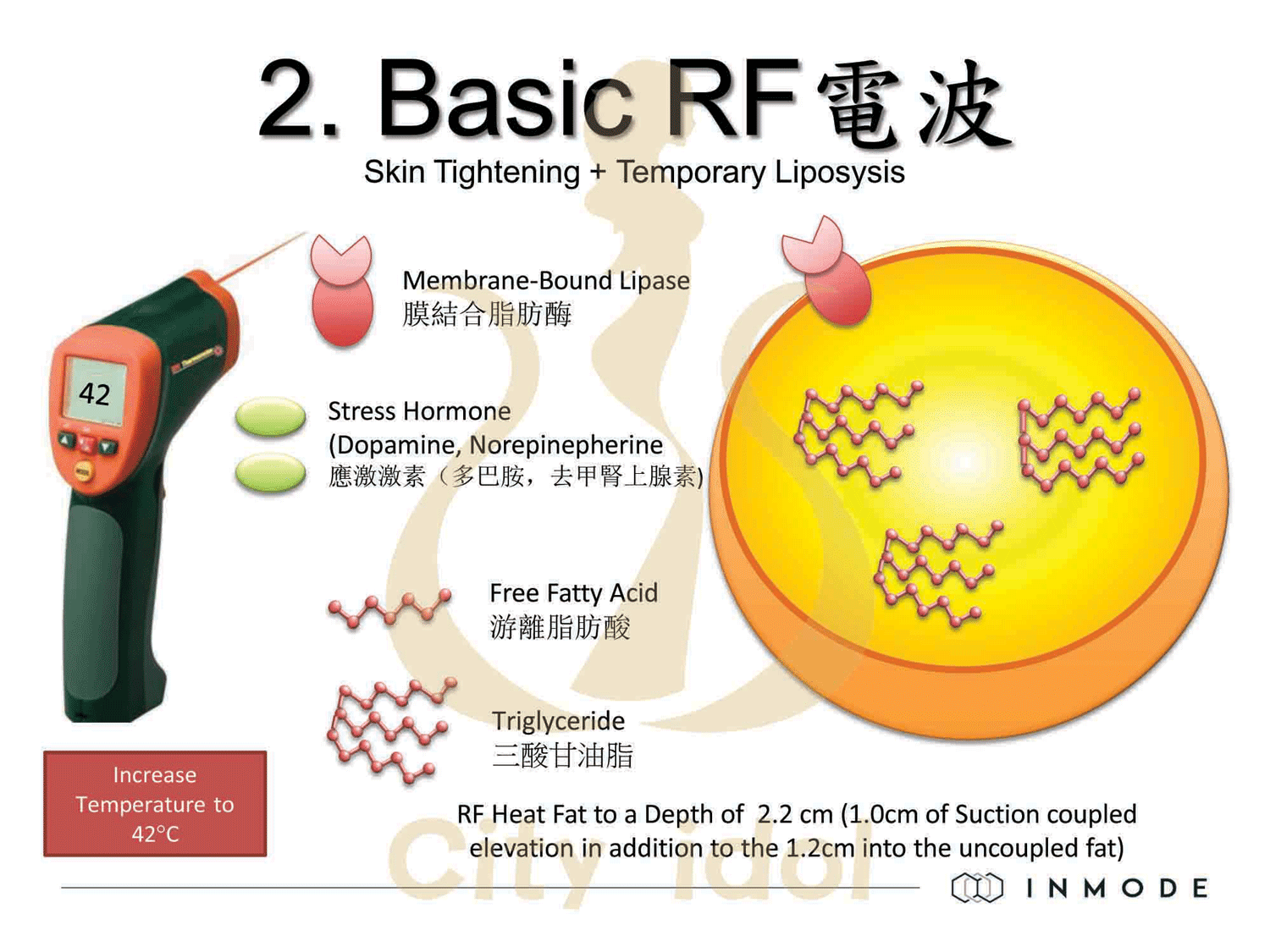 諮詢資料