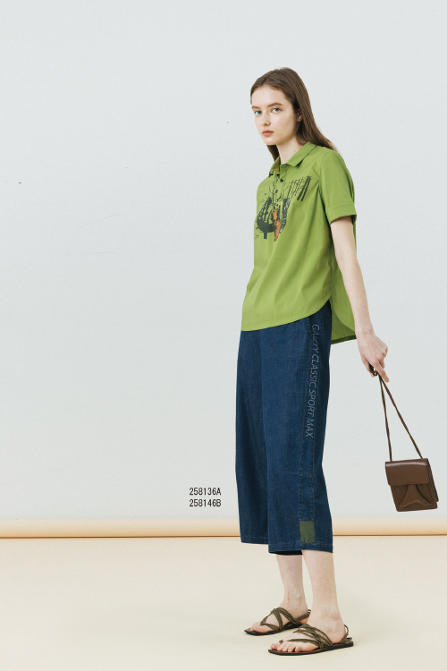 258136A示意圖