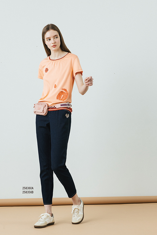 258356B示意圖