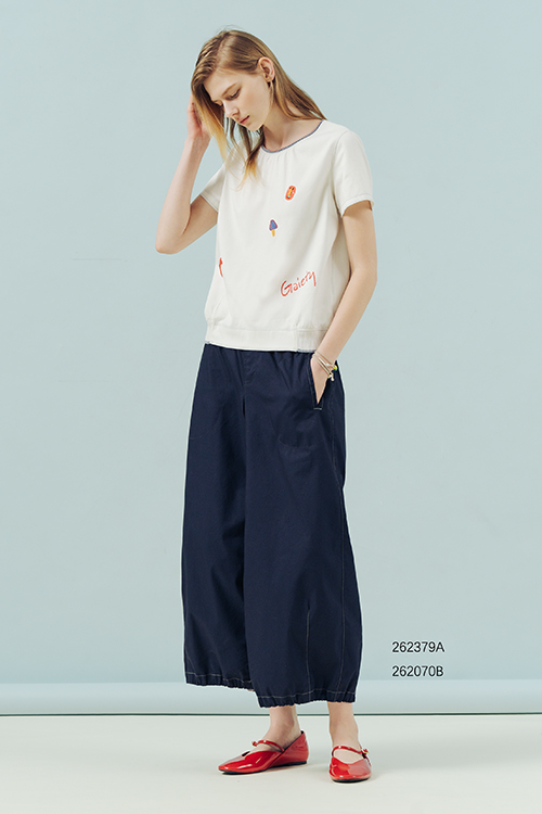 262379A示意圖
