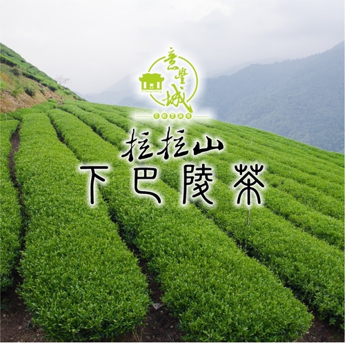 下巴稜茶示意圖