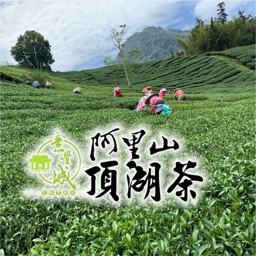 頂湖茶示意圖
