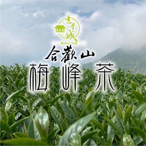 梅峰茶示意圖