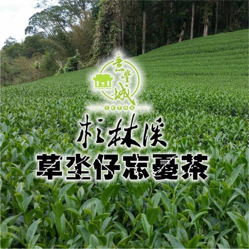 草坔仔忘憂茶示意圖