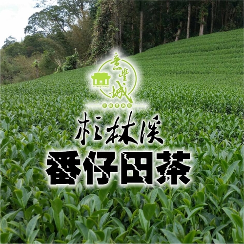 番仔田茶示意圖