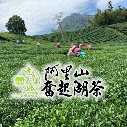 奮起湖茶示意圖