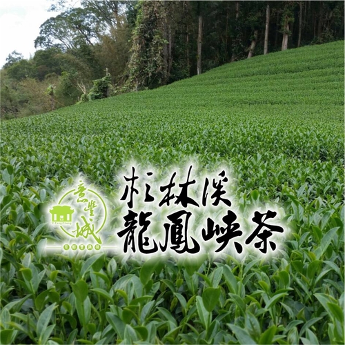 龍鳳崍茶示意圖