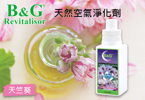 B&G 天然空氣淨化劑-天竺葵示意圖