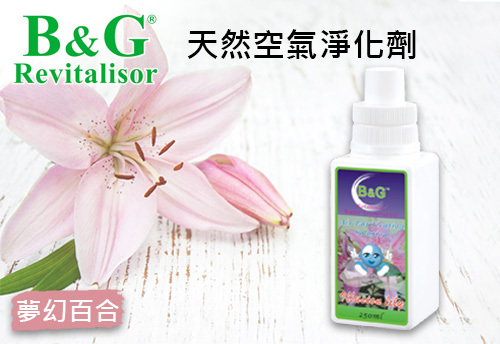 B&G 天然空氣淨化劑-夢幻百合示意圖