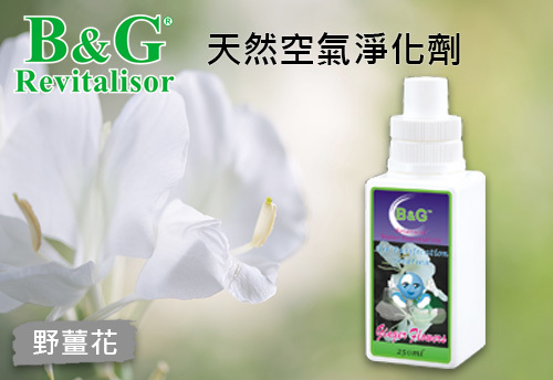 B&G 天然空氣淨化劑-野薑花示意圖