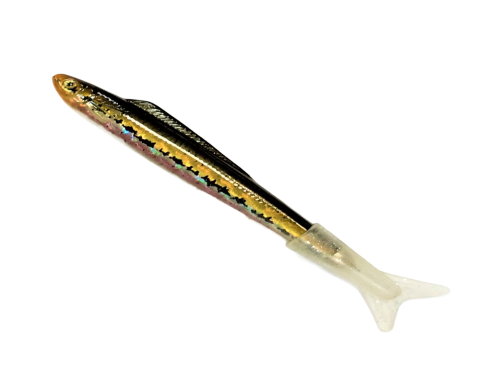 Fish Pen(with fin)　有鰭魚筆示意圖