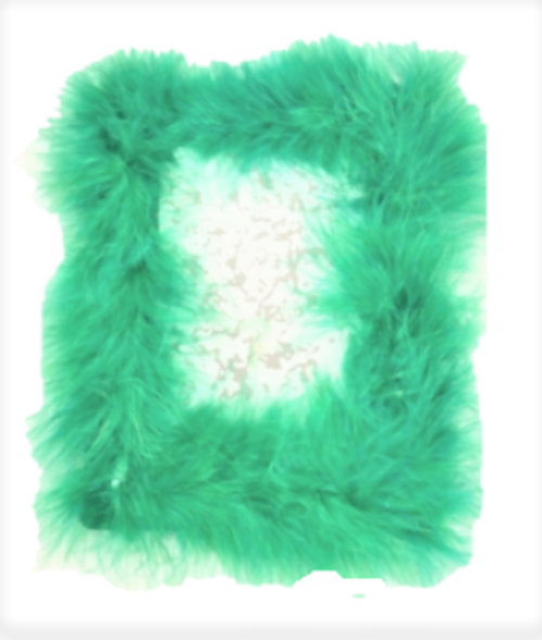 Feather Heart Photo Frame示意圖