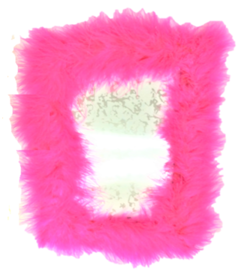 Feather Heart Photo Frame示意圖