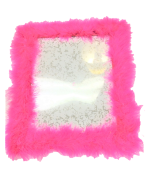 Feather Heart Photo Frame示意圖