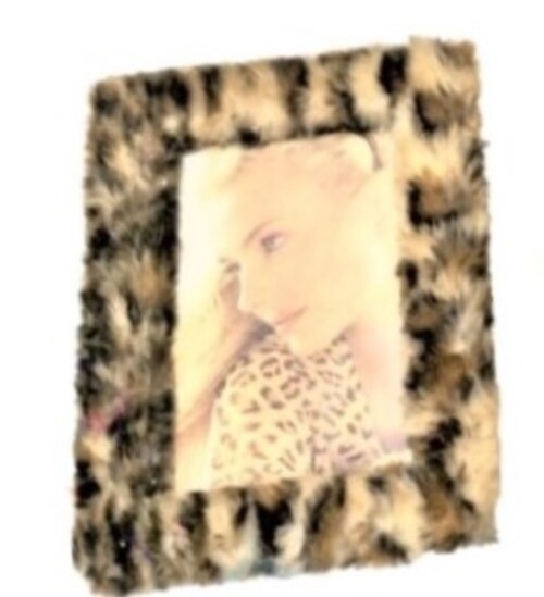 Furry Photo Frame示意圖