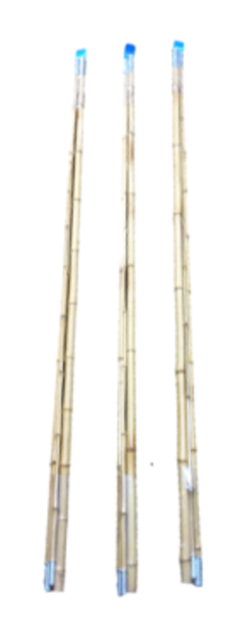Bamboo Fishing Rod示意圖