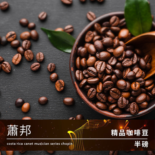 Tiamo 精品咖啡豆 蕭邦 半磅示意圖