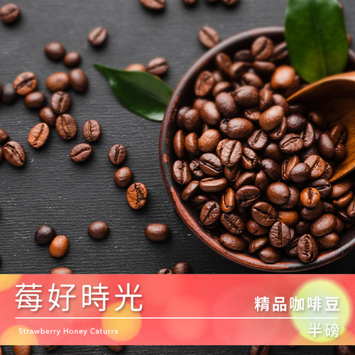 【停售】Tiamo 精品咖啡豆 莓好時光示意圖