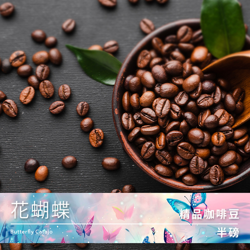 Tiamo 精品咖啡豆 花蝴蝶 半磅示意圖