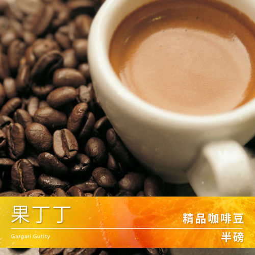 Tiamo 精品咖啡豆 果丁丁 半磅示意圖