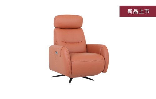 H45921 百分之百義大利全牛皮電動功能單人椅圖片