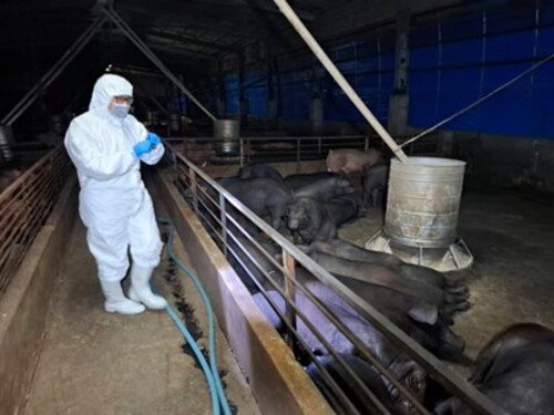 1141022防堵非洲豬瘟擴散！ 中市府：儘速查明病毒來源 啟動四大防疫措施 全力配合農業部防疫示意圖