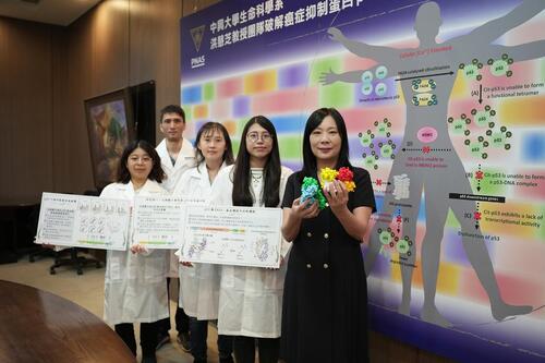 1141121興大洪慧芝教授登上《PNAS》破解癌症抑制蛋白 p53 被「關機」的祕密示意圖